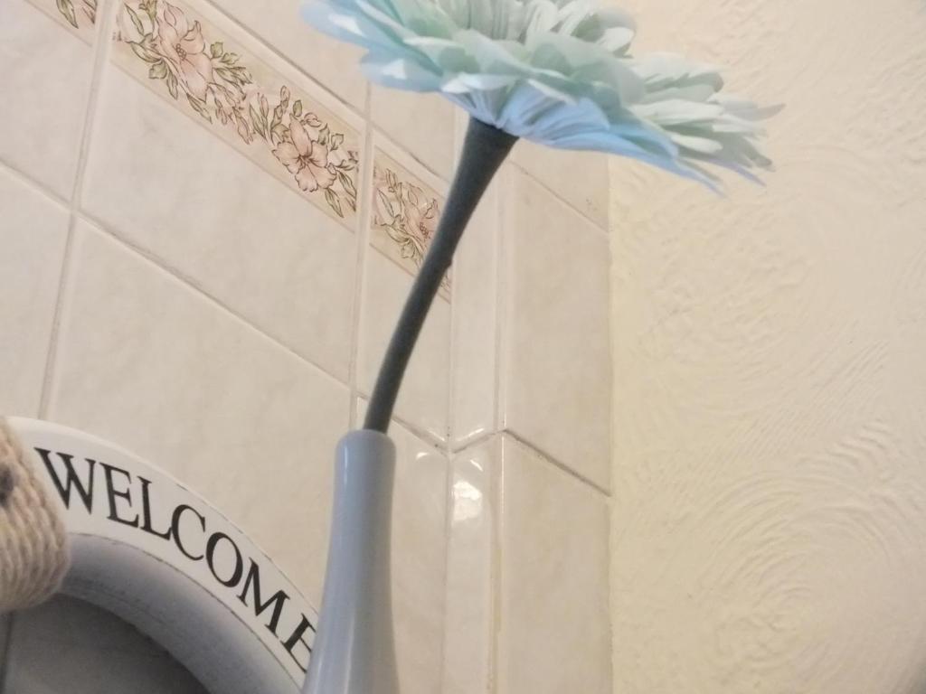סוואנסי Leonardos Guest House חדר תמונה